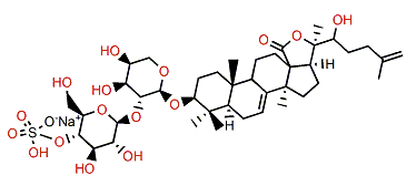 Stichorrenoside B